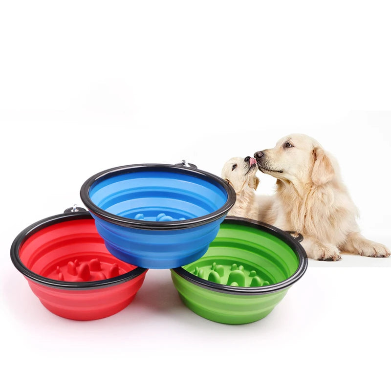ZenFeed Slow Feeder Collapsible Bowl