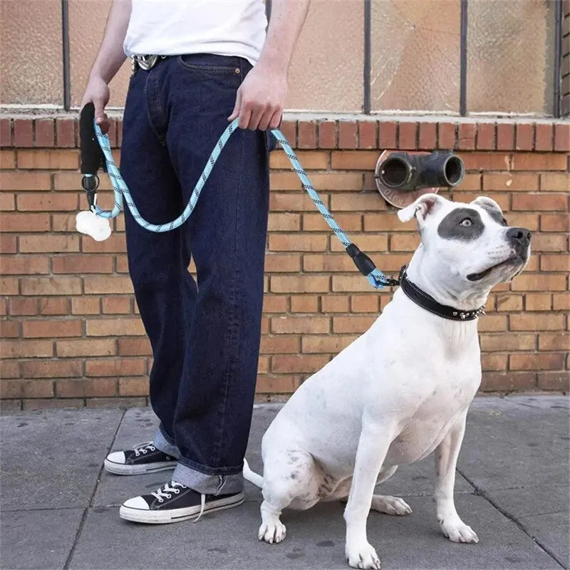 Overland Reflective Dog Leash With Comfortable Padded Handle