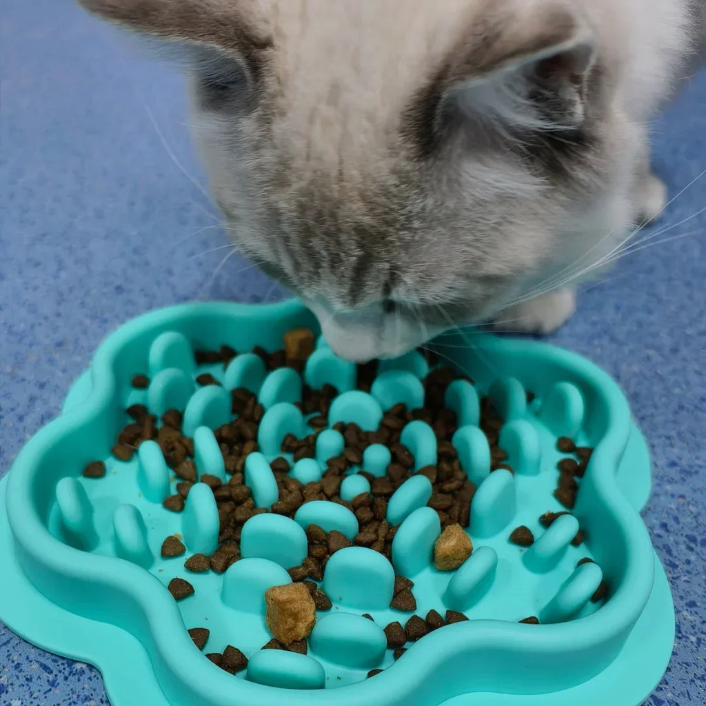 ZenFeed Silicone Slow Feeder