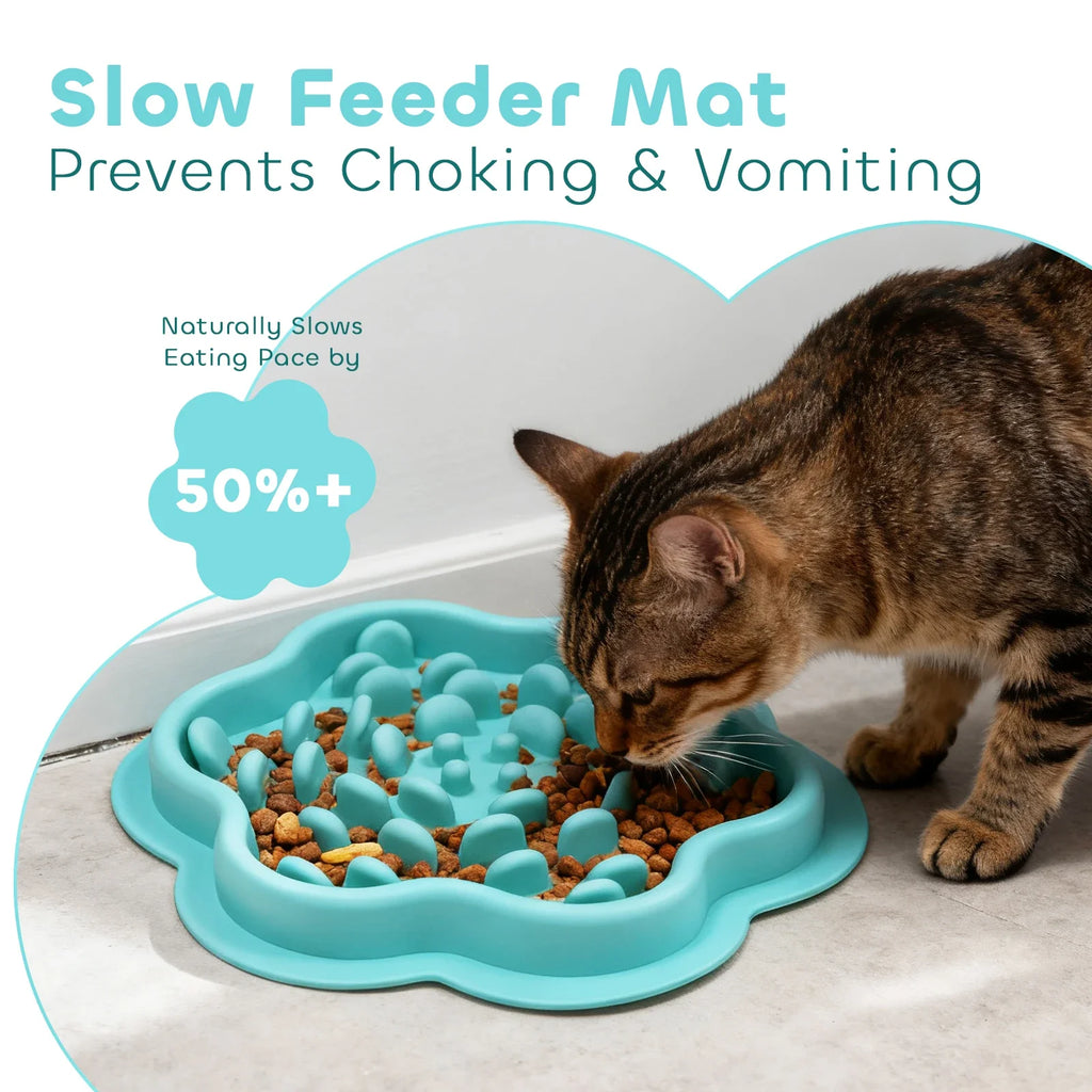 ZenFeed Silicone Slow Feeder