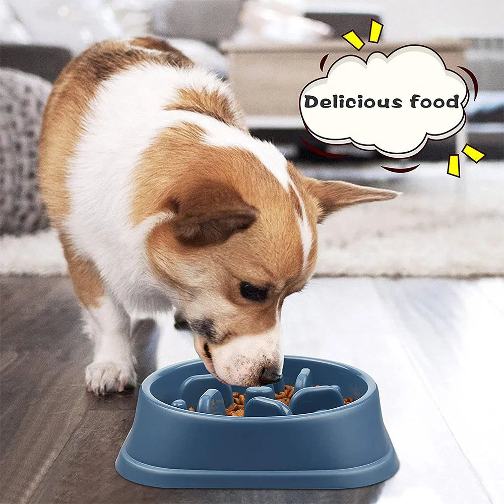 ZenFeed Puzzle Slow Feeder