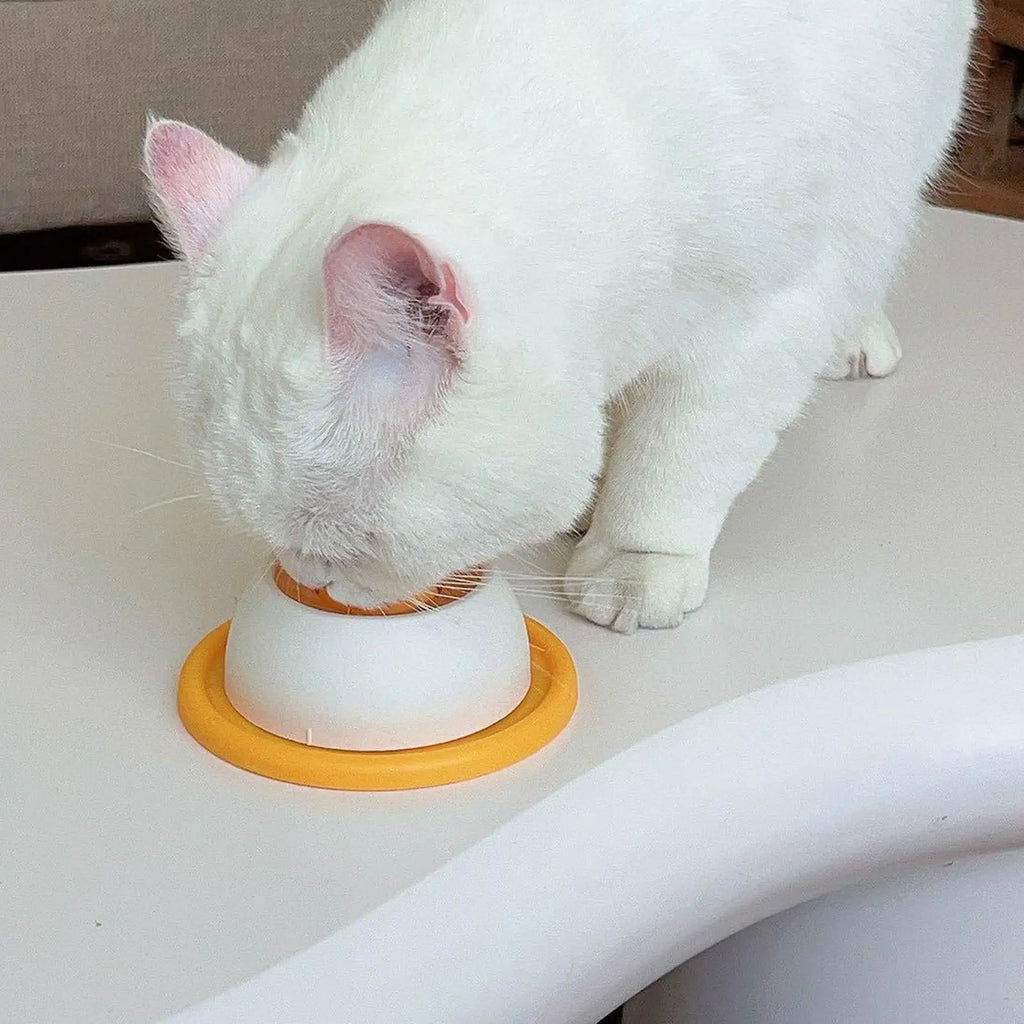 The ZenFeed Educational Licking Bowl