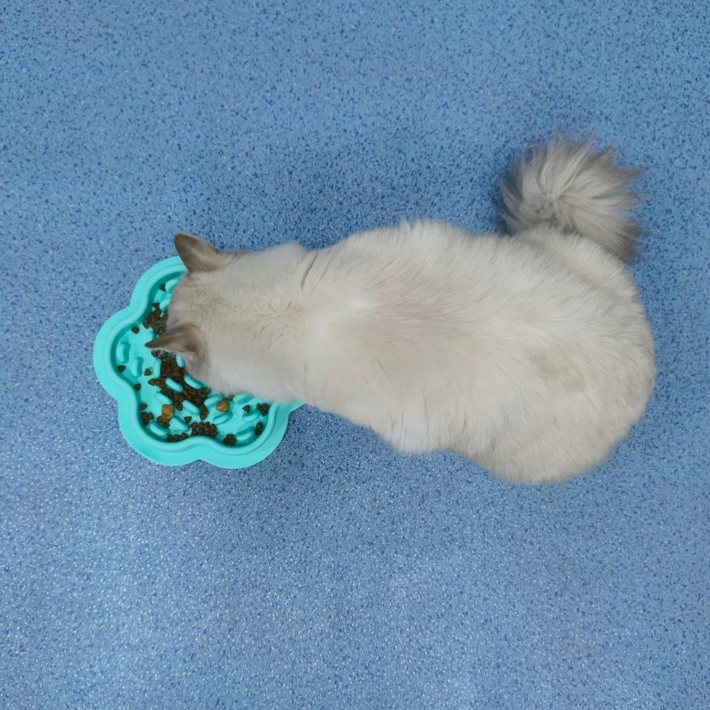 ZenFeed Silicone Slow Feeder