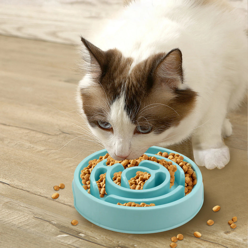 ZenFeed Eco-Friendly Slow Feeder