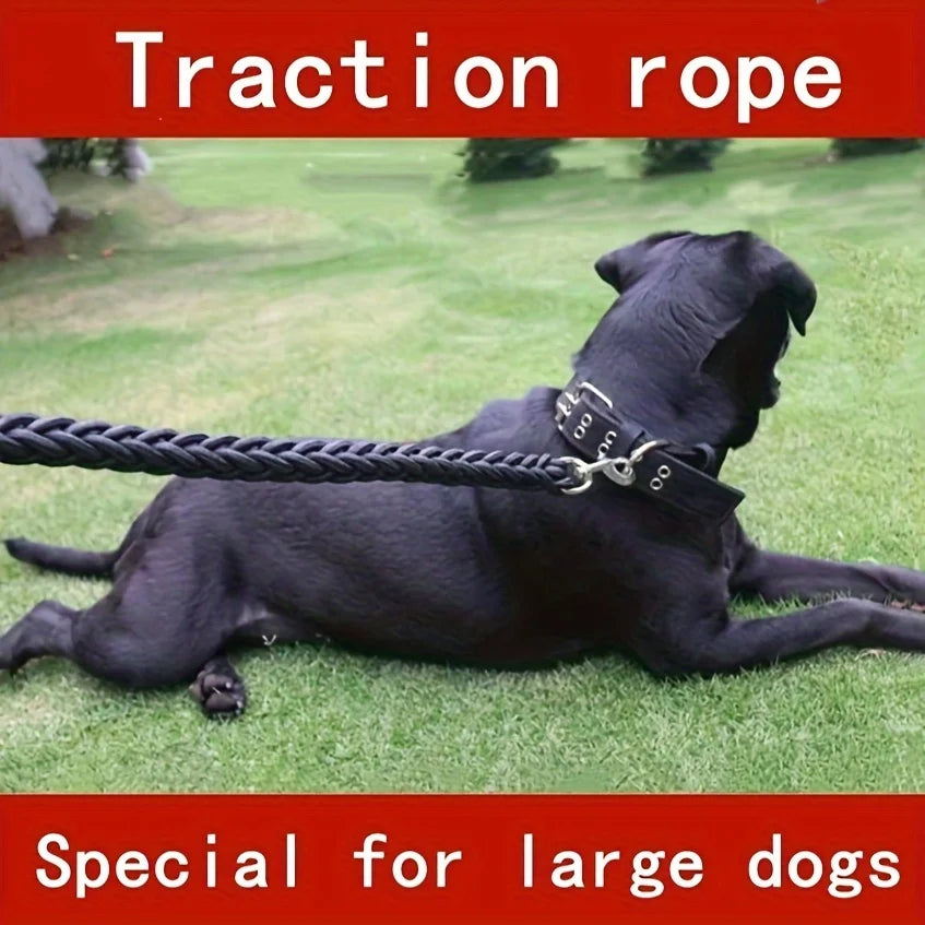 Overland Dog Leash for Strong Dogs.