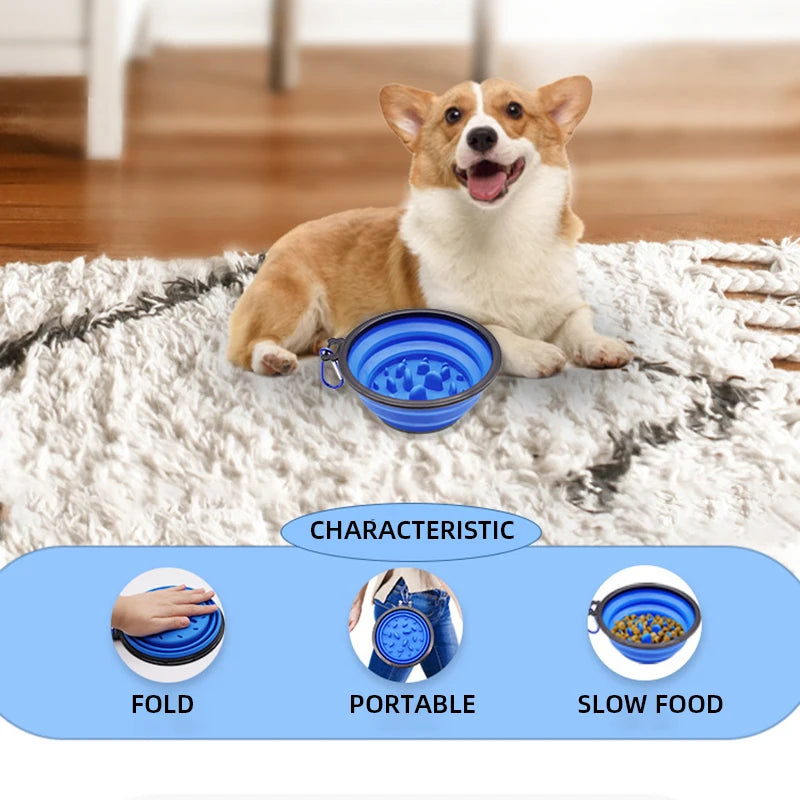 ZenFeed Slow Feeder Collapsible Bowl