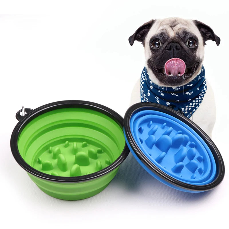 Overland Collapsible Slow Feeder Travel Bowl
