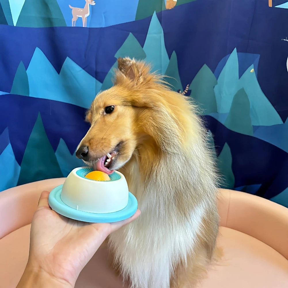 ZenFeed Stimulation Slow-Feeder Lick Bowl